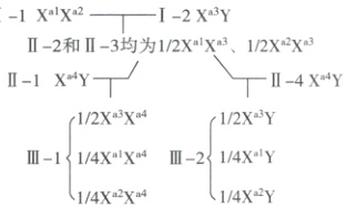 14XYIII114XHXa4III214XaY14Xa2Xa4