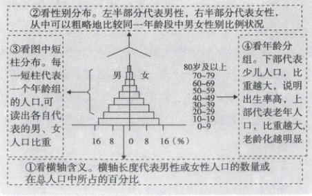 看横轴含义横轴长度代表男性或女性人口的数量或在总人口中所占的百分比