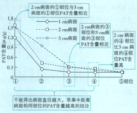 不能得出病斑直径越大苹果中距离病斑相同部位的PAT含量越高的结论