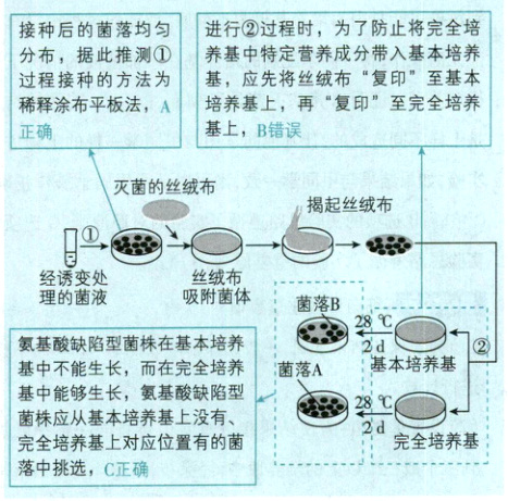 完奎培养基应位置落申挑选C正确