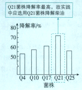 Q4Q10Q17Q21Q25菌株