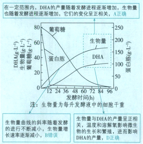 生物量曲线的斜率随着发酵关温度和溶解氧影响微生的进行不断减小生物量增物的生长和殖进而影响长速率逐渐减小B错误