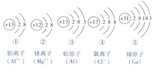铝离子镁离子铝原子氯离子镠原子APMgA1C1Ga