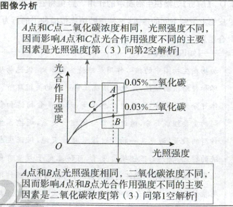 A点和B点光照强度相同二氧化碳浓度不同因而影响A点和B点光合作用强度不同的主要因素是二氧化碳浓度第3问第1空解析
