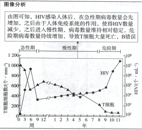 102369121234567891011