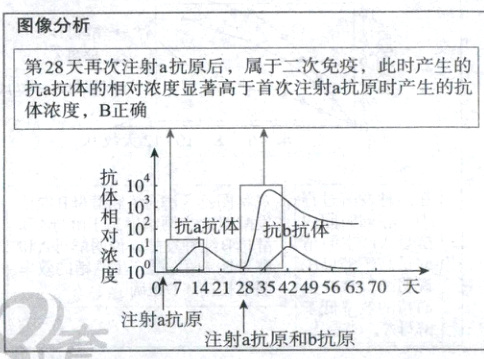 07142128354249566370注射a抗原注射a抗原和b抗原