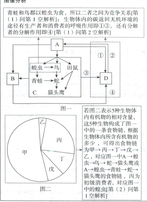 初级消费者对应图一图二中的蝗虫第2问第1空解析