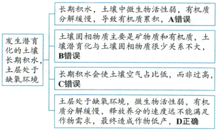 土层处于缺氧环境微生物活性弱有机质分解缓慢释放养分的速度远不能满足作物需求最终造成作物低产D正确