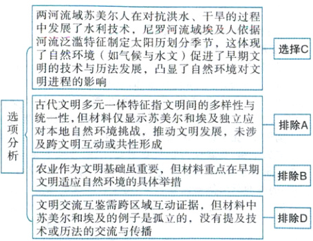 文明交流互鉴需跨区域互动证据但材料中苏美尔和埃及的例子是孤立的没有提及技一排除D术或历法的交流与传播