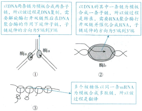为俞多肽链所以该