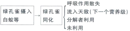绿孔雀摄入绿孔雀流入天敌下一个营养级白蚊等同化分解者利用未利用