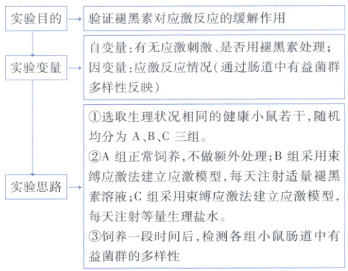 饲养一段时间后检测各组小鼠肠道中有益菌群的多样性