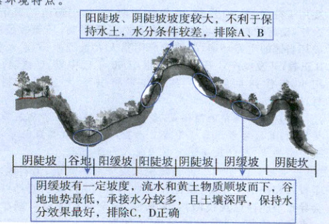 坡而下3厚保持水分效果最好排除CD正确
