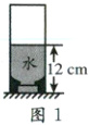 水12cm图1
