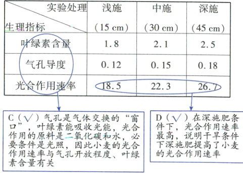 的是的光最施条的光合作用速率集馕与气孔开放程度叶绿