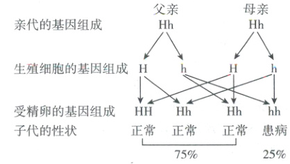 正常正常正常患病子代的性状2575