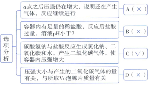 压强大小与产生的二氧化碳气体的量D有关与所取Vc泡腾片质量有关
