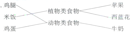 米饭西蓝花动物类食物鸡蛋牛奶
