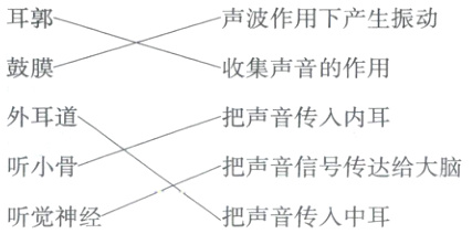 听小把声音信号传达给大脑听觉神经把声音传入中耳