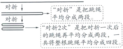 的跳绳再平均分成两段共将整根跳仑绳平均分成四段