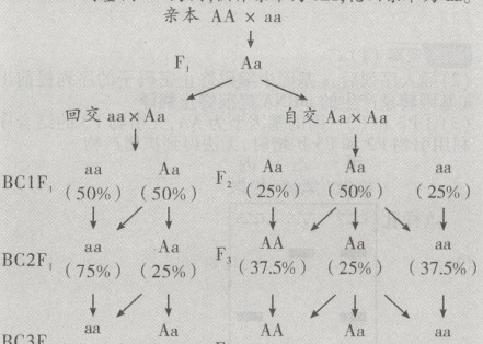 25F43A56258751255BC3F