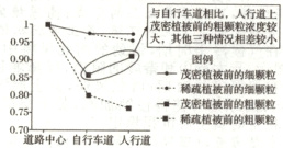 密植被前的细粒茂密植前的粗粒中心自行车道人行道
