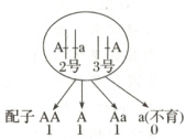 号3号配子AA合Aaa否育