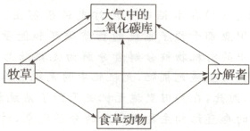 牧草分解者食草动物