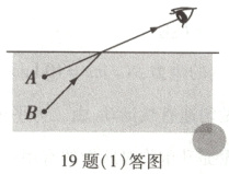 19题1答图