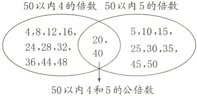 364448455050以内4和5的公倍数
