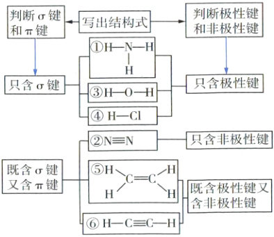 含非极性键HC三C一H