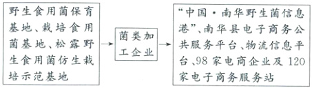 菌基地松露野一工企业共服务平台物流信息平生食用菌仿生栽台98家电商企业及120培示范基地家电子商务服务站
