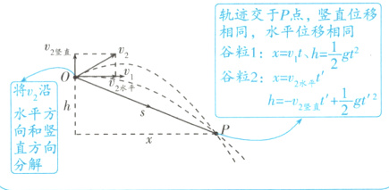 向和竖直方向分解