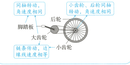链条传动边小齿轮缘线速度相等