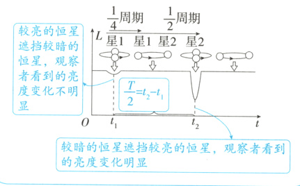 较暗的恒星遮挡较亮的恒星观察者看到的亮度变化明显