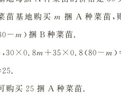 答至少可购买25捆A种菜苗