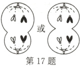 第17题
