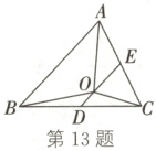 第13题
