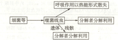 细菌等噬菌线虫分解者分解利用遗体残醵分解者分解利用