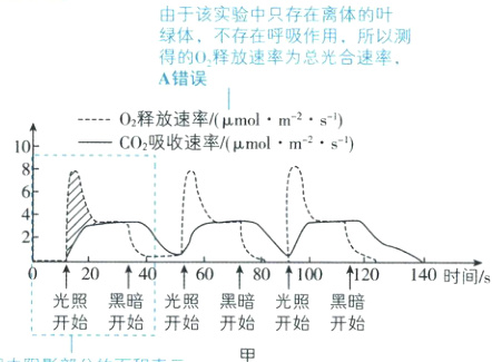 黑暗光照光照黑暗光照黑暗开始开始开始开始开始开始
