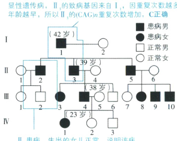 89105623岁II患病生出的女儿正常说明该病