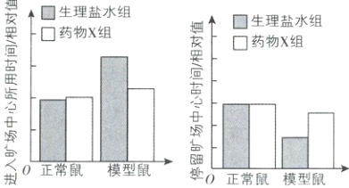 馊进0正常鼠模型鼠停0正常鼠模型鼠