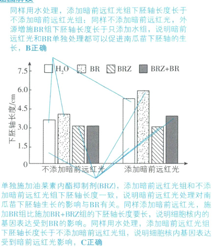 受到暗前远红光影响C正确
