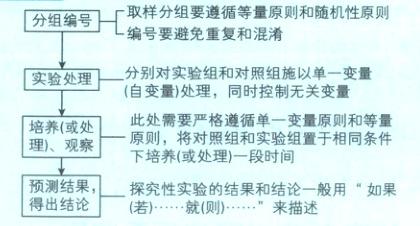 下培养或处理一段时间探究性实验钠结果和结论一般用如果预测结果得出结论就来描述