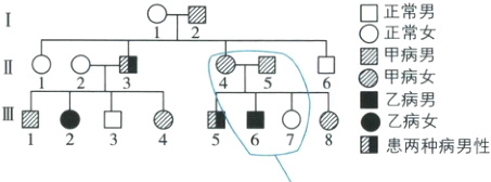 乙病女567患两种病男性