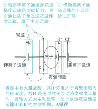 的H浓度故H是通过质子泵逆浓度梯度运输的运输方式为主动运输质子泵逆浓度梯度运输H和K的方式相同A错误