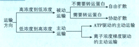 方向低浓度到高浓度主动运输离子浓度梯度驱动的主动运输