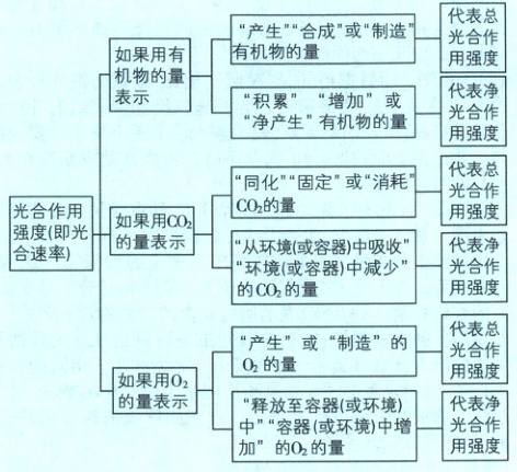 的量表示代表净释放至容器或环境光合作中容器或环境中增用强度加的的量