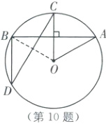 第10题