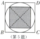 第5题